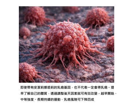 從安潔莉娜裘莉乳癌基因說起 – 如何透過調整後天因素改變先天的基因傾向