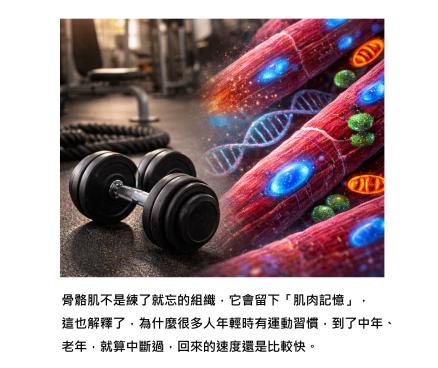 提早開始運動不會浪費 - 為未來存肌核及肌肉記憶，改寫老化的命運