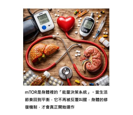為什麼高血壓、糖尿病、脂肪肝、腎病，常常一起來？關鍵是生活習慣反覆觸動了一個叫 mTOR 的分子 - 我們其實有機會提早踩煞車