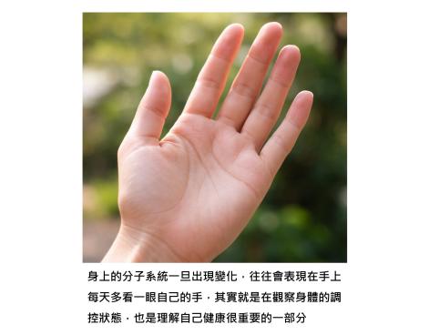 手是身體最早開口說實話的地方 - 從指甲顏色到手掌溫度,我們其實每天都握著自己的健康線索