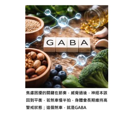 當大腦的煞車分子慢了一點 - 如何看懂焦慮，然後慢慢把它調回來
