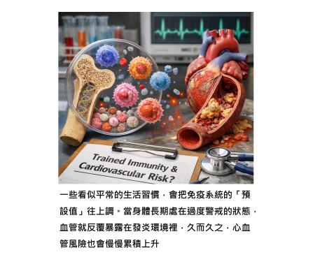 生活習慣正在改寫免疫的預設值 - 當身體長期過度警戒,心血管風險就慢慢升高