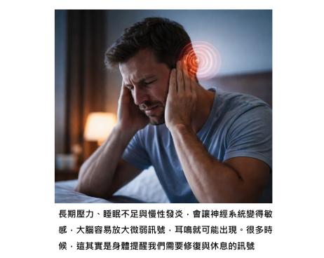 夜深嗡嗡的耳鳴，其實是大腦敏感度被調高的結果
