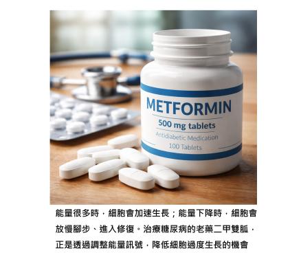 治療糖尿病的老藥，為什麼也能降低癌症風險？當代謝被調整，身體的分子背景改變後，細胞自然不會走偏