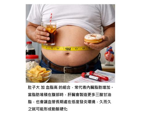 高三酸甘油脂腰圍 - 肚子大加血脂高，是血管開始變化的早期指標