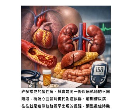 血糖只是第一站 - 看懂「心血管腎臟代謝症候群」疾病軌跡，才能讓慢性病停在起點