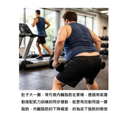 肚子那一圈為什麼瘦不掉？關鍵在「同步訓練」，讓身體先清內臟脂肪