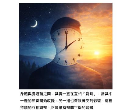 人與腸道菌活在同一個時間系統 - 當步伐不一致,身體就開始失衡,限時進食是關鍵調整點