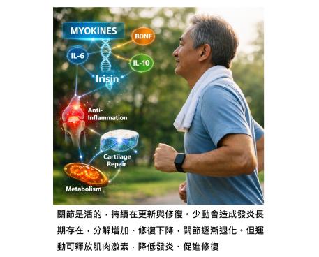 運動，其實是一種「身體自己開出治療關節炎的藥」