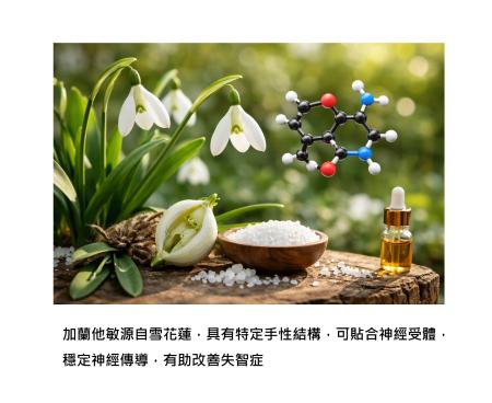 失智症治療的關鍵 - 「手性分子」