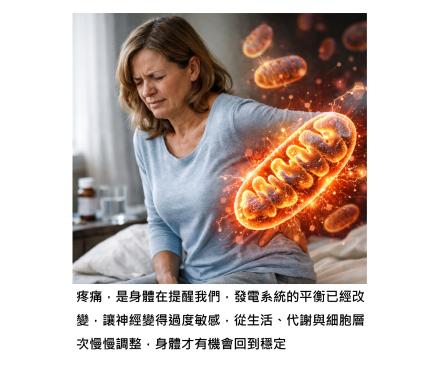 慢性疼痛，其實是身體「發電、發炎、修復」同時失衡的結果，關鍵在粒線體